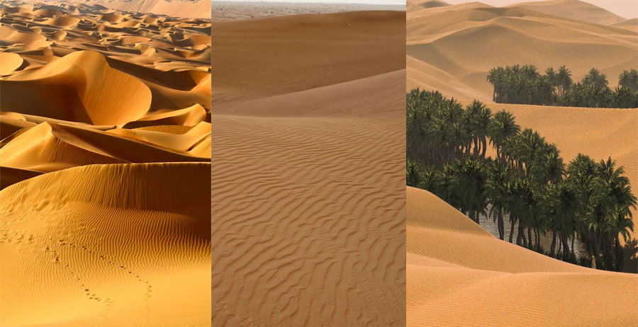 Arabian-Desert-BeautifulGlobal