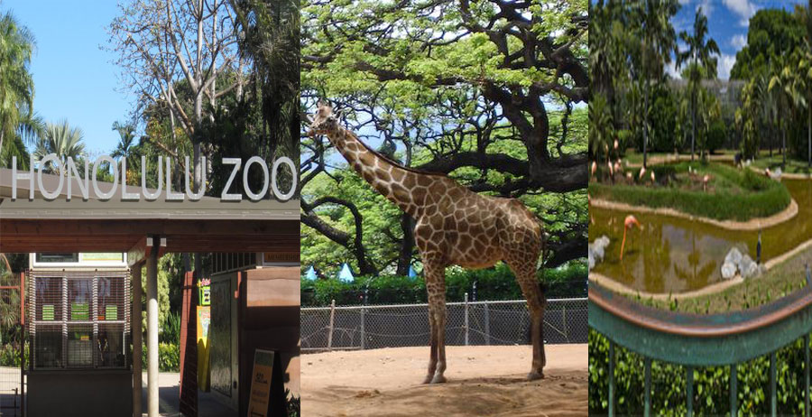 Honolulu-Zoo-BeautifulGlobal