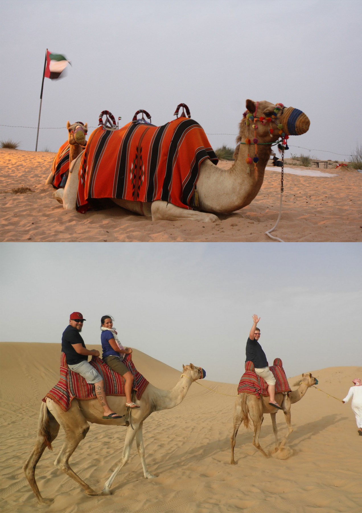Camel Ride in Desert Dubai Desert Safari Beautiful Global