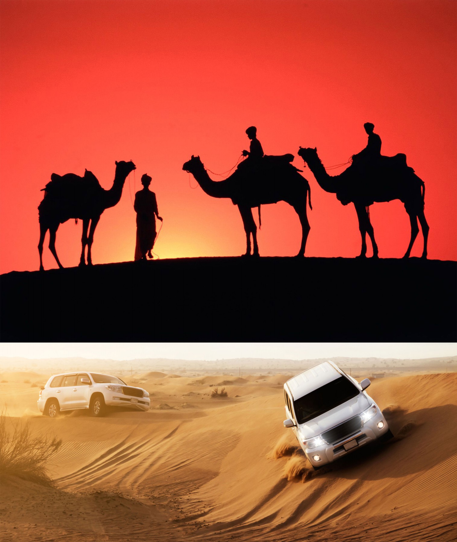 Camels and Jeeps in Desert Dubai Desert Safari Beautiful Global
