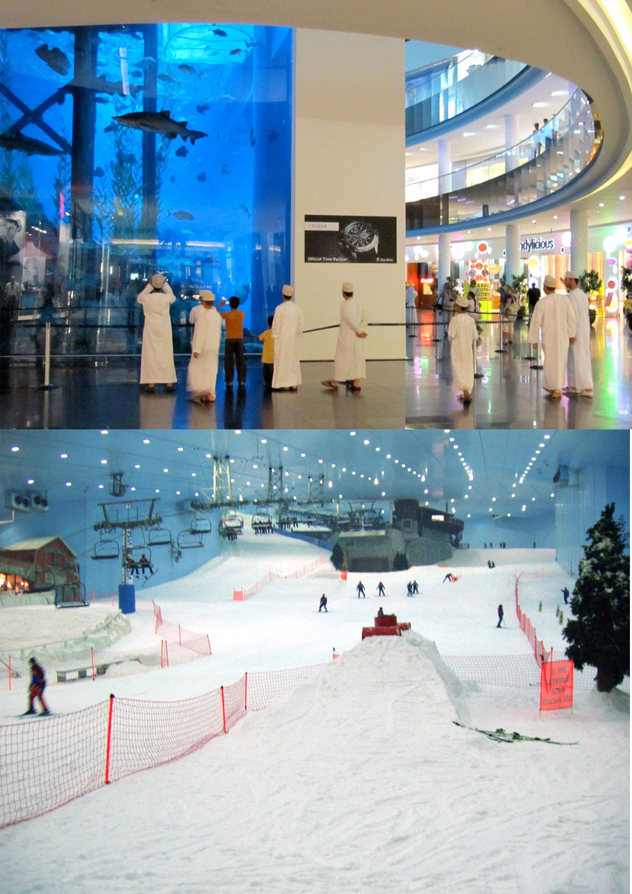 Dubai Mall Fish Aquairium and Ice Ski The Mall Of Dubai UAE Beautiful Global