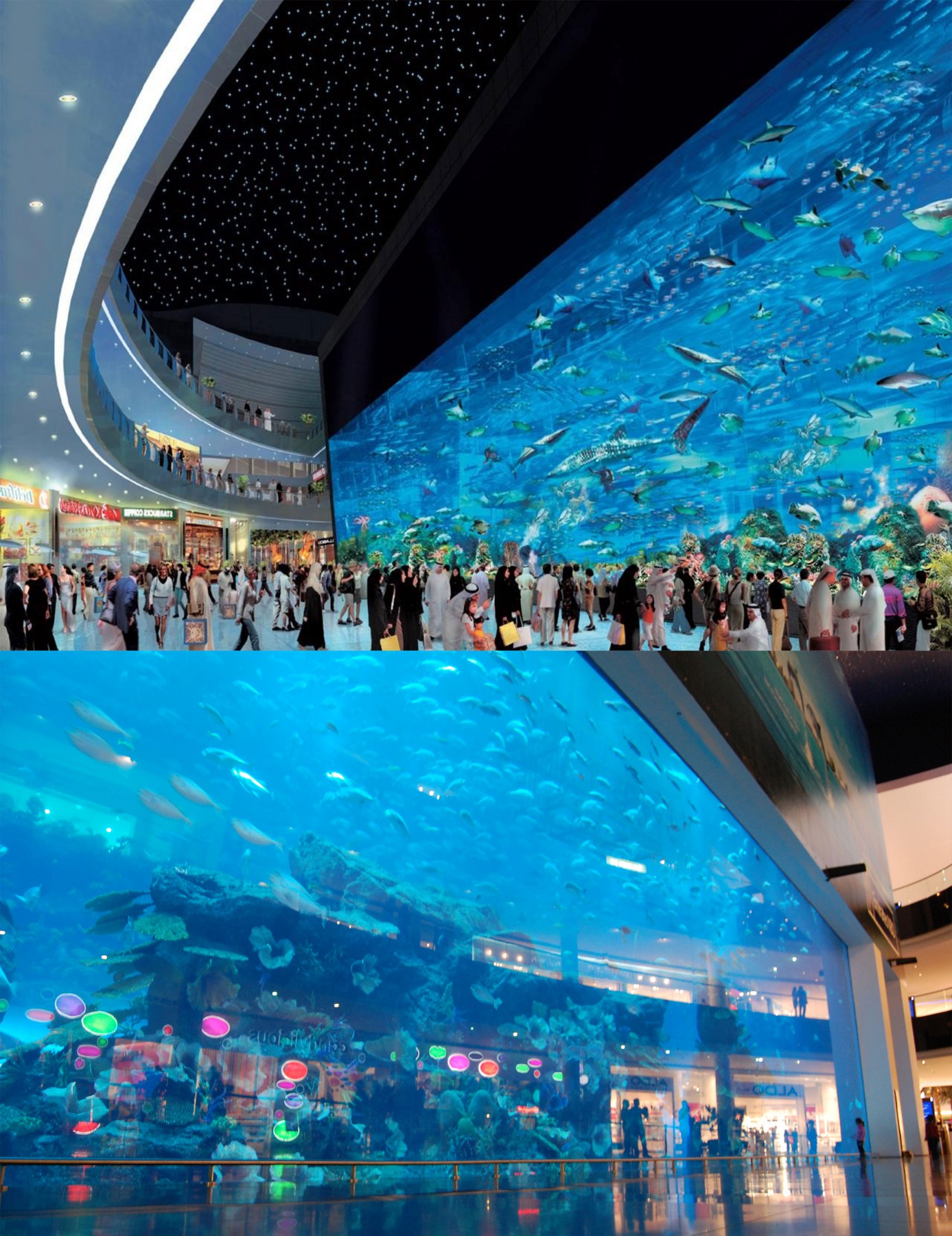 Dubai Mall Fish Aquarium Beautiful View The Mall Of Dubai UAE Beautiful Global