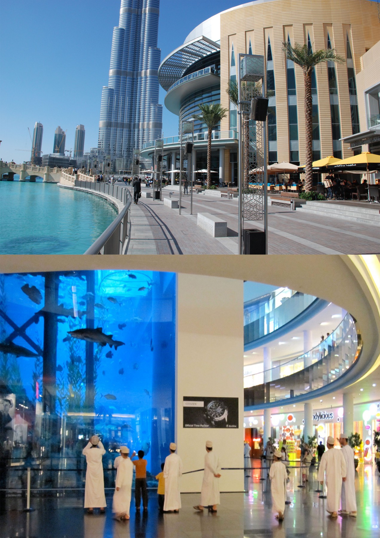 Dubai Mall Fountain and Fish Aquarium The Mall Of Dubai UAE Beautiful Global