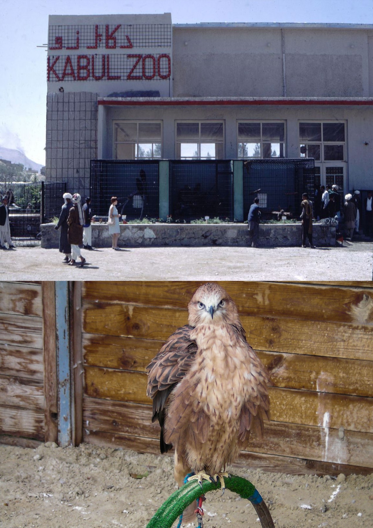 Kabul-Zoo
