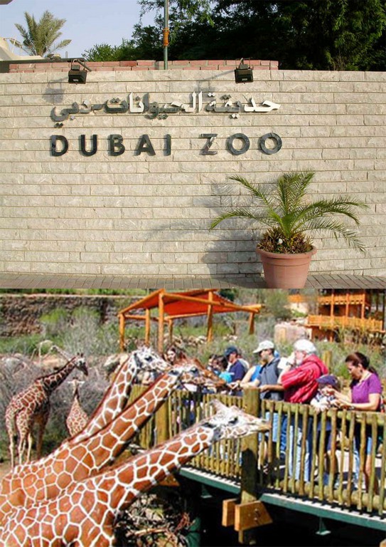 Top Dubai Zoo Jumeirah Views 1 Top Dubai Zoo Jumeirah Views Beautiful Global