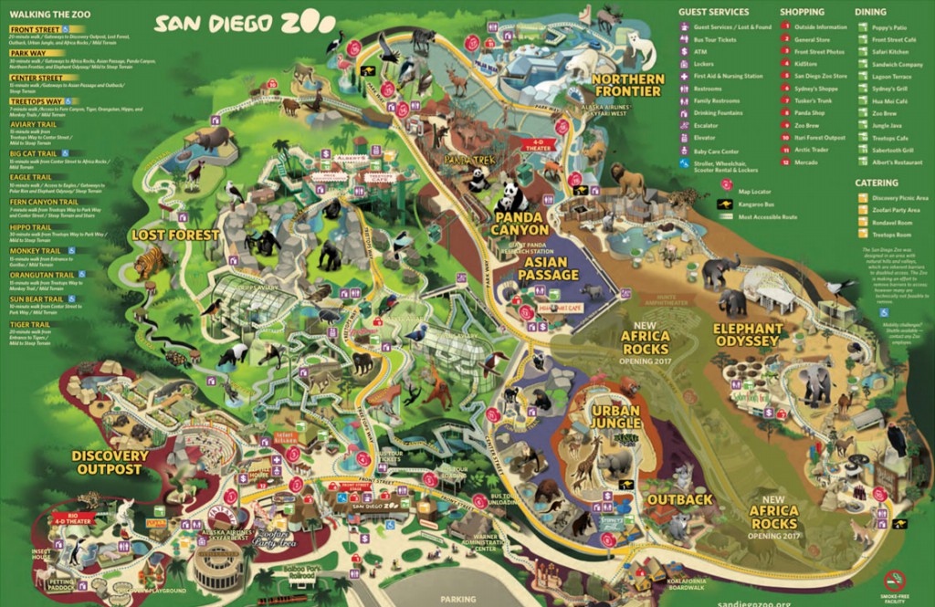San Diego Zoo - A Beautiful Place of Species Near Balboa Park, California, United State
