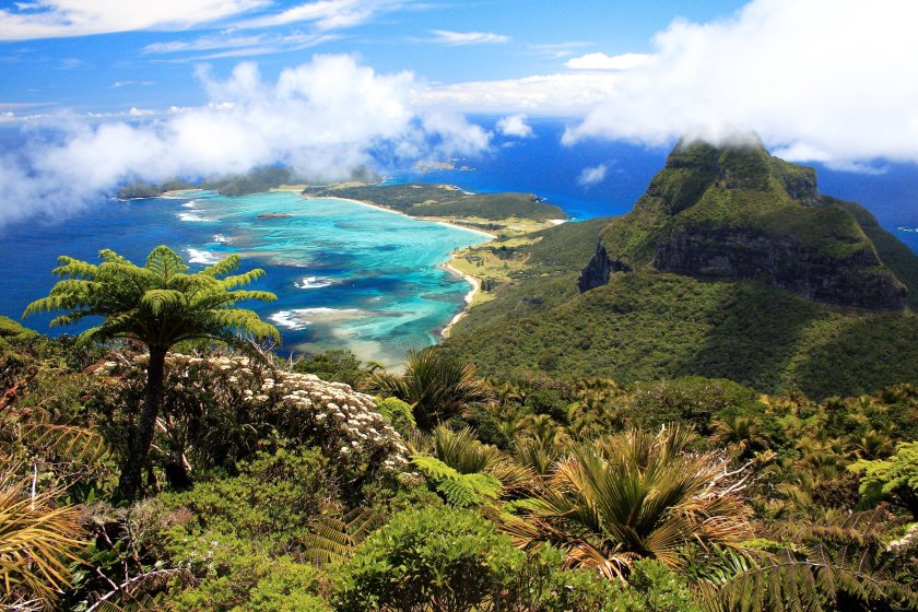 lord 2 Lord Howe Island, Australia Beautiful Global