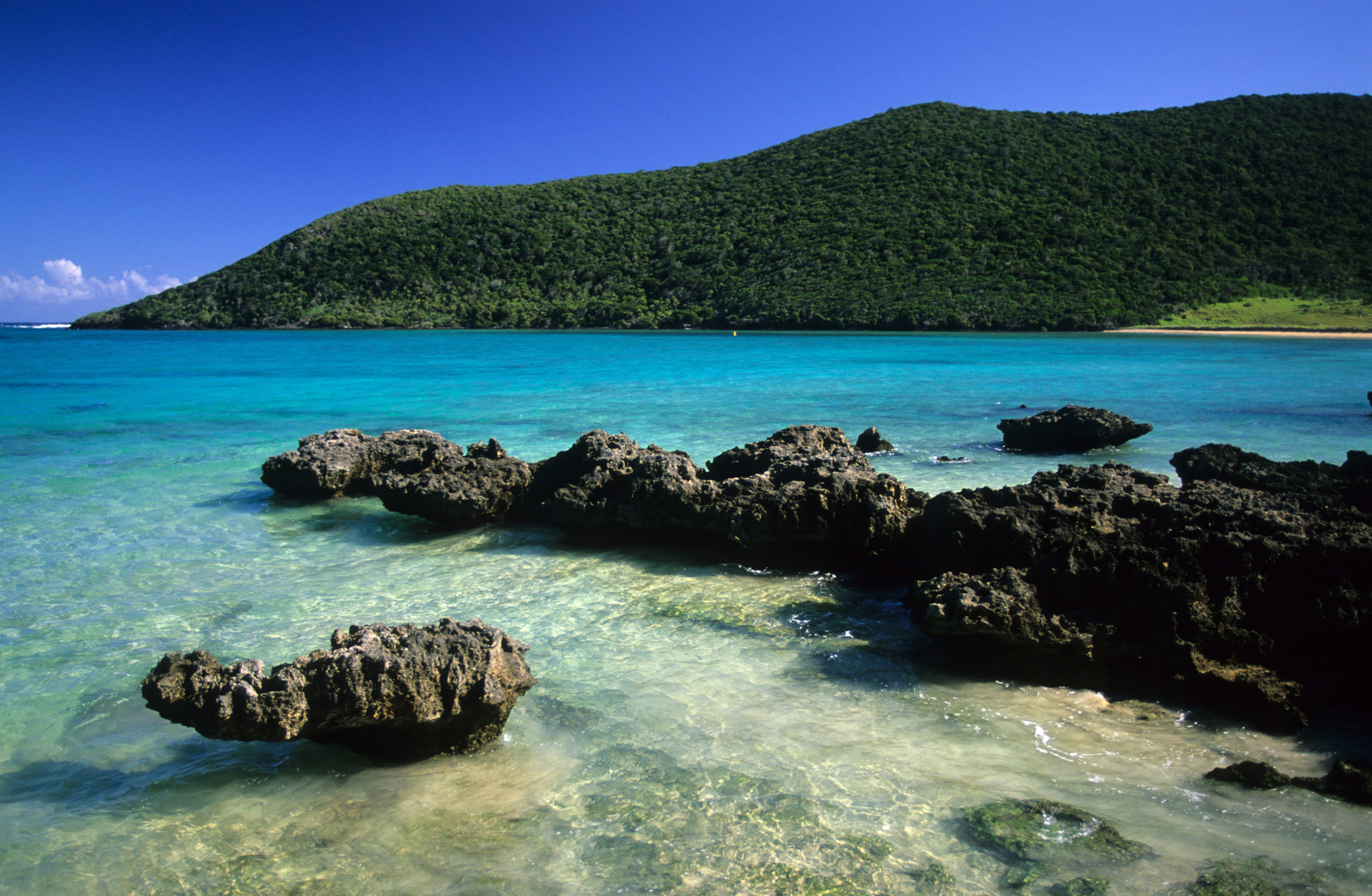 lord 3 Lord Howe Island, Australia Beautiful Global