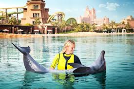 002 3 Dolphin Bay , UAE Beautiful Global
