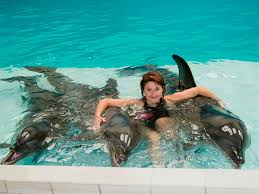 003 5 Dubai Dolphinarium , UAE Beautiful Global