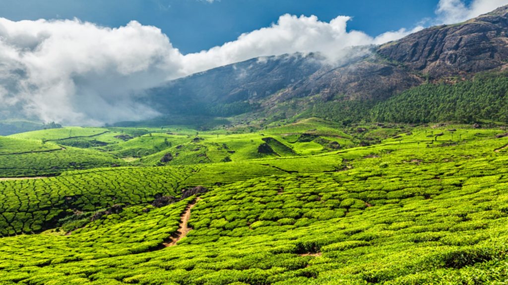 How many days are ideal for a vacation in Kerala